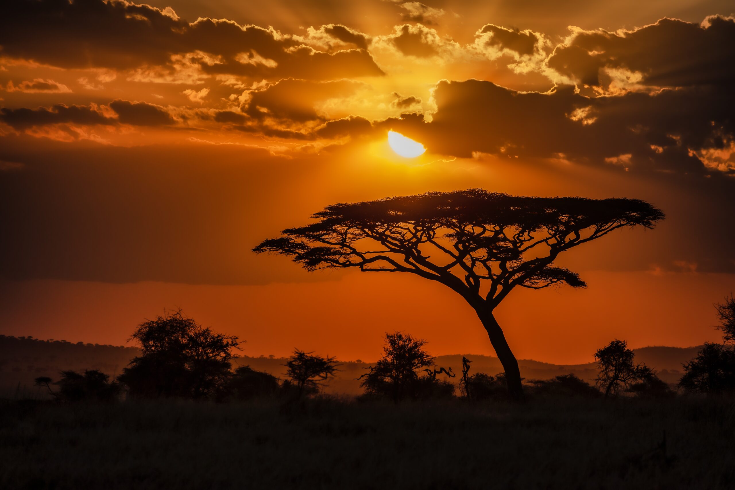 Accueil - INFORM Africa