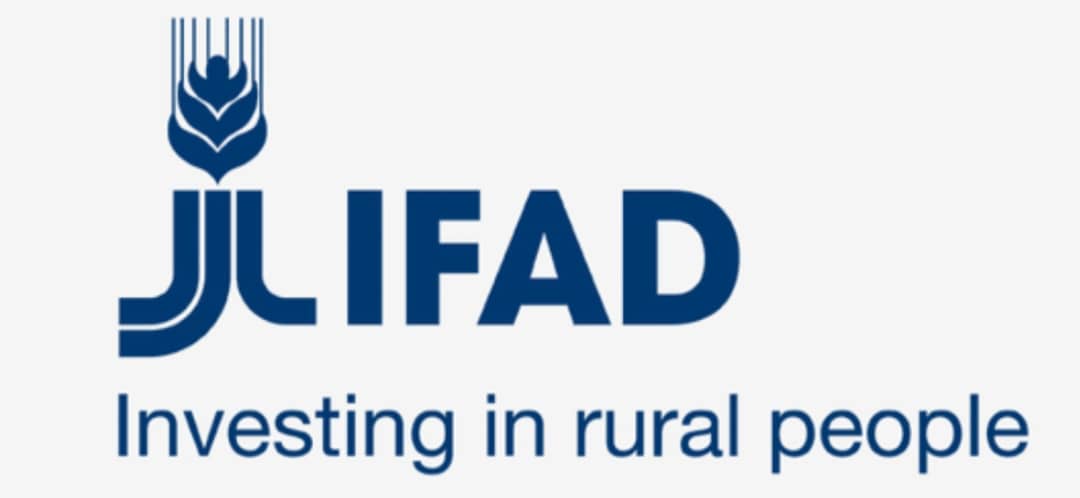 WhatsApp Image 2025-06-01 à 17.38.31_fffb036b